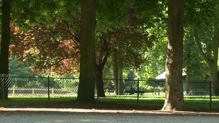 ТРАХ В ПАРКЕ.