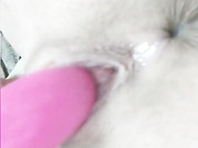 LadyDi11