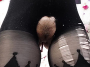 little-letti