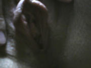 Kissaam