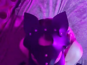 Exotika-Jizzu