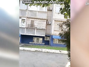 Amallllia