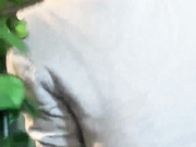 mylittlegi