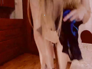 Alinn1