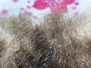 ВОЛОСАТАЯ ПИСЬКА