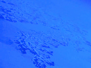 madison420ivy onlyfans