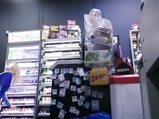 WildCatling 12.11.2022