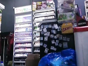 WildCatling 12.11.2022