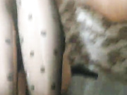 ToxicTiger 19.11.2022