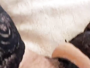 FluffyBeauty