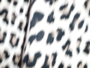 У девушки под юбкой