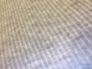 nymphibongi-1
