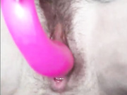 KRISTEN_MANGO
