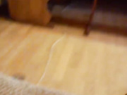 lunaONight 04.12.2022