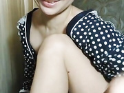 ToxicTiger 04.12.2022