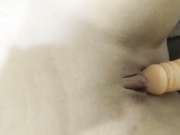 Спящая красавица