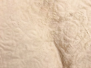 Safari2024 10.11.2022