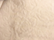 Safari2024 10.11.2022