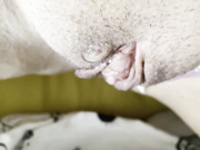 Клиторальный массаж