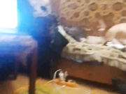 kissaandr