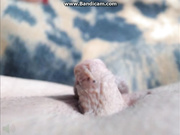 BIGCLITBabe таким может и выебать