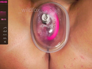 _wildfox_