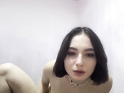 Avs_Kitty_Z