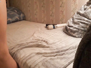 FunnyCat002