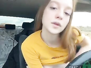 Dandimilk