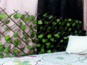 rajatrama