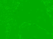 Shark_sharky бесплатное вебкам шоу и XXX чат _ xHamsterLive 2022-06-25 07_31