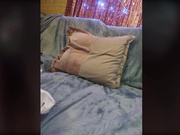 Your-Anna бабочка на носу