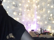 KittyBay