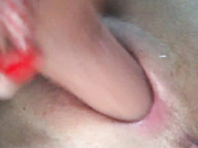 Angelll3