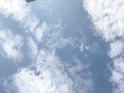 Shark_sharky бесплатное вебкам шоу и XXX чат _ xHamsterLive 2022-08-12 06_58