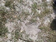 Онлайн-эровидеочат с AlisaFist на BongaCams 2022-08-22 10_27