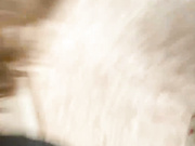 Sunbonya