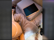 Lola-man сучка захотела трах в жопу-2ч