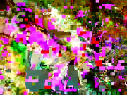 Вечерний привач