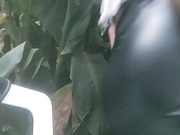 Yaomyy бесплатное вебкам шоу и XXX чат _ xHamsterLive 2023-02-19 01_53