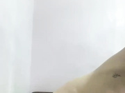 Avs_Kitty_Z