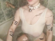 LolyMolly