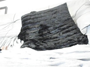 Curvyana69 бесплатное вебкам шоу и XXX чат _ xHamsterLive 2022-12-15 18_51