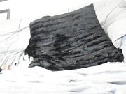 Curvyana69 бесплатное вебкам шоу и XXX чат _ xHamsterLive 2022-12-15 18_51