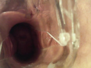 Larawet бесплатное вебкам шоу и XXX чат _ xHamsterLive 2022-09-04 21_40