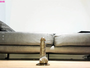 aya_hitakayama 2023-03-05