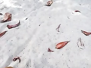 Luna-Natural бесплатное вебкам шоу и XXX чат _ xHamsterLive 2022-12-23 21_24