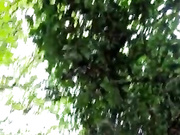 Missmiss2315 бесплатное вебкам шоу и XXX чат _ xHamsterLive 2022-11-12 14_52