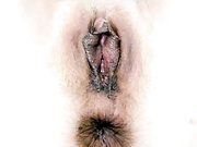 Naughty__Slave бесплатное вебкам шоу и XXX чат _ xHamsterLive 2022-11-05 22_32