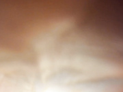 hayneiko-2023-03-26_04-38-18